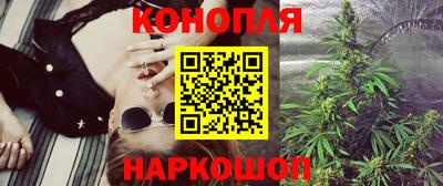 крисы Шебекино