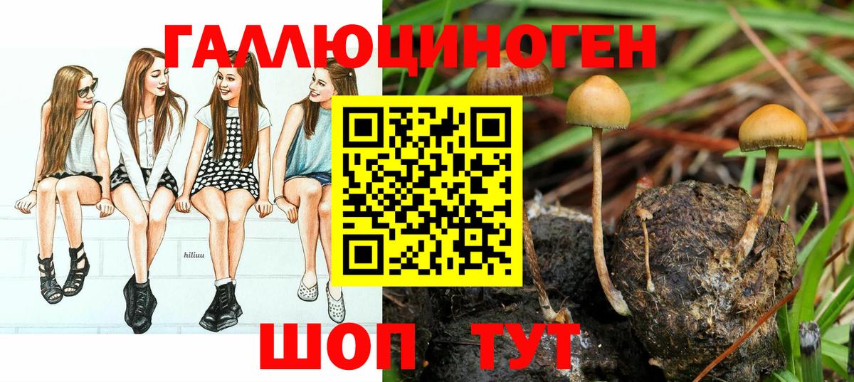 Псилоцибиновые грибы GOLDEN TEACHER  Вход с VPN  как найти   Медногорск  Галлюциногенные грибы GOLDEN TEACHER 