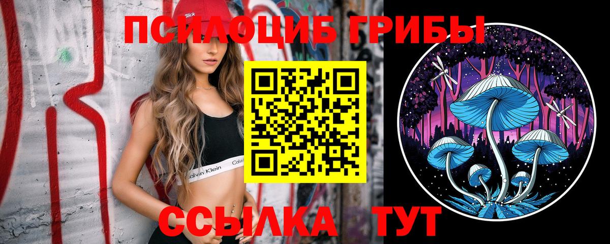 Псилоцибиновые грибы Cubensis Медногорск